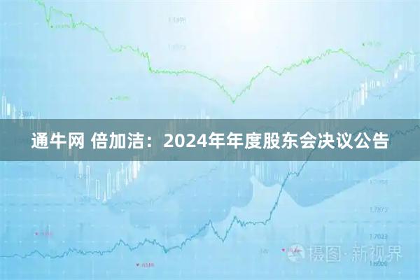 通牛网 倍加洁：2024年年度股东会决议公告