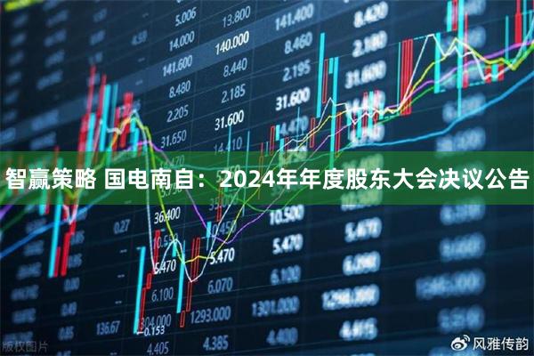 智赢策略 国电南自：2024年年度股东大会决议公告