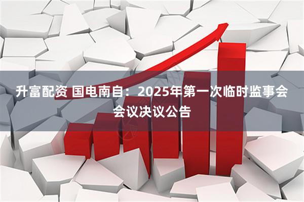 升富配资 国电南自：2025年第一次临时监事会会议决议公告