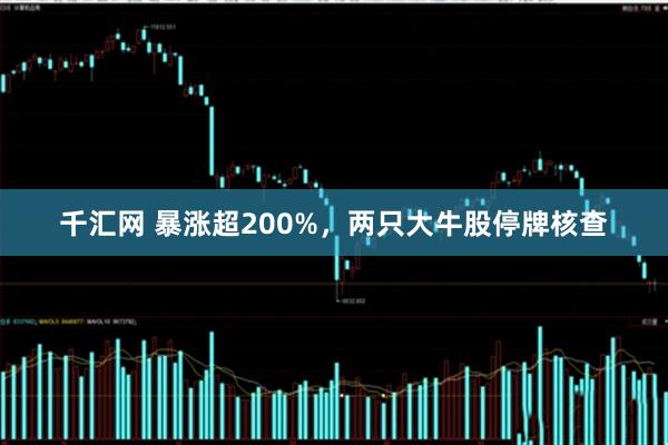 千汇网 暴涨超200%，两只大牛股停牌核查