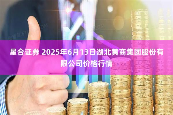 星合证券 2025年6月13日湖北黄商集团股份有限公司价格行情