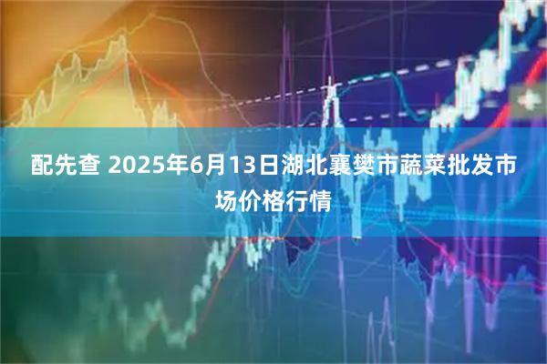 配先查 2025年6月13日湖北襄樊市蔬菜批发市场价格行情